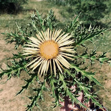 Holiday home Txantxangorri *