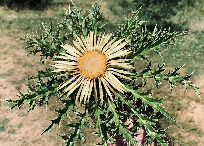 Σπίτι διακοπών Txantxangorri *